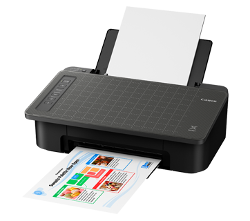 PIXMA TS307