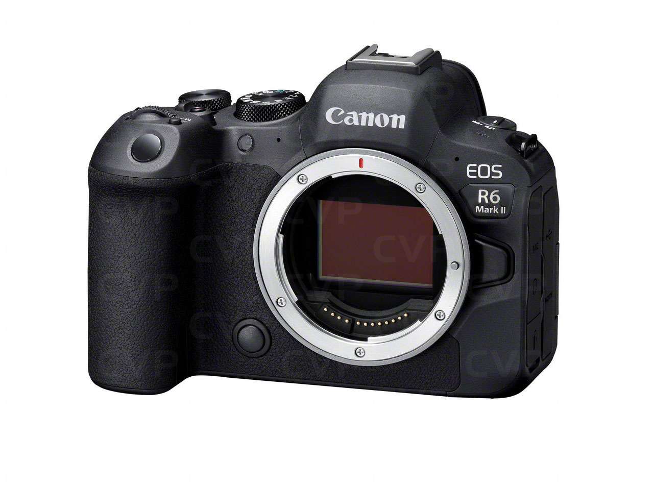 EOS R6 Mark II (Body)