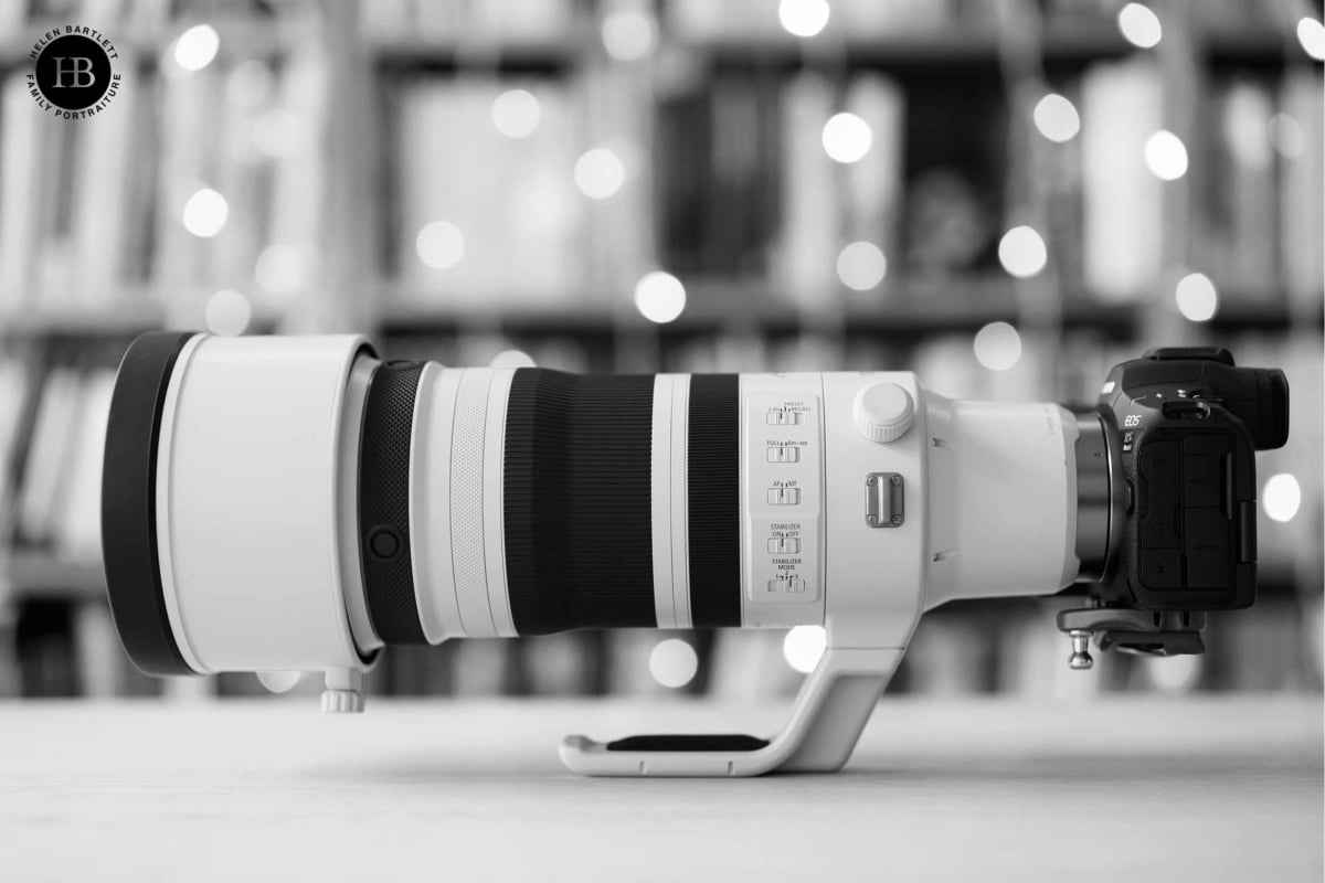 RF100-300mm f/2.8L IS USM