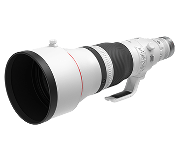 RF600mm f4L IS USM