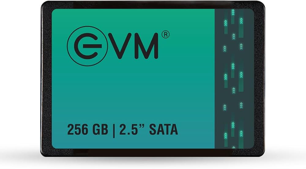 256GB Sata SSD